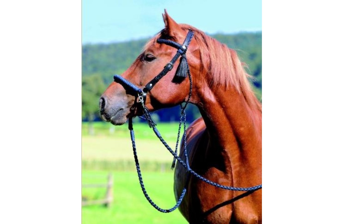 Amber sidepull bitlooshoofdstel leer