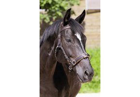 Contour Physio kopstuk