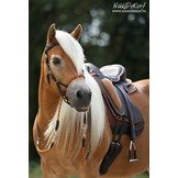 Syringa bitless Zaumzeug 2 in 1 leder