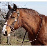 Syringa bitlooshoofdstel 2 in 1 leer