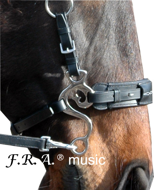 Music hackamore zilver
