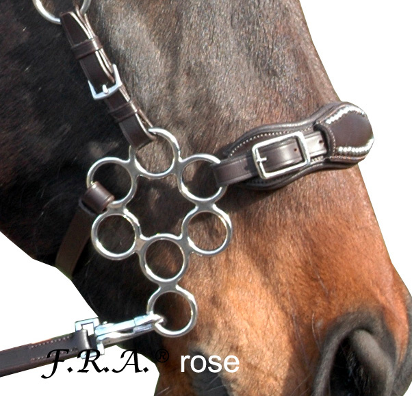 Rose hackamore zilver