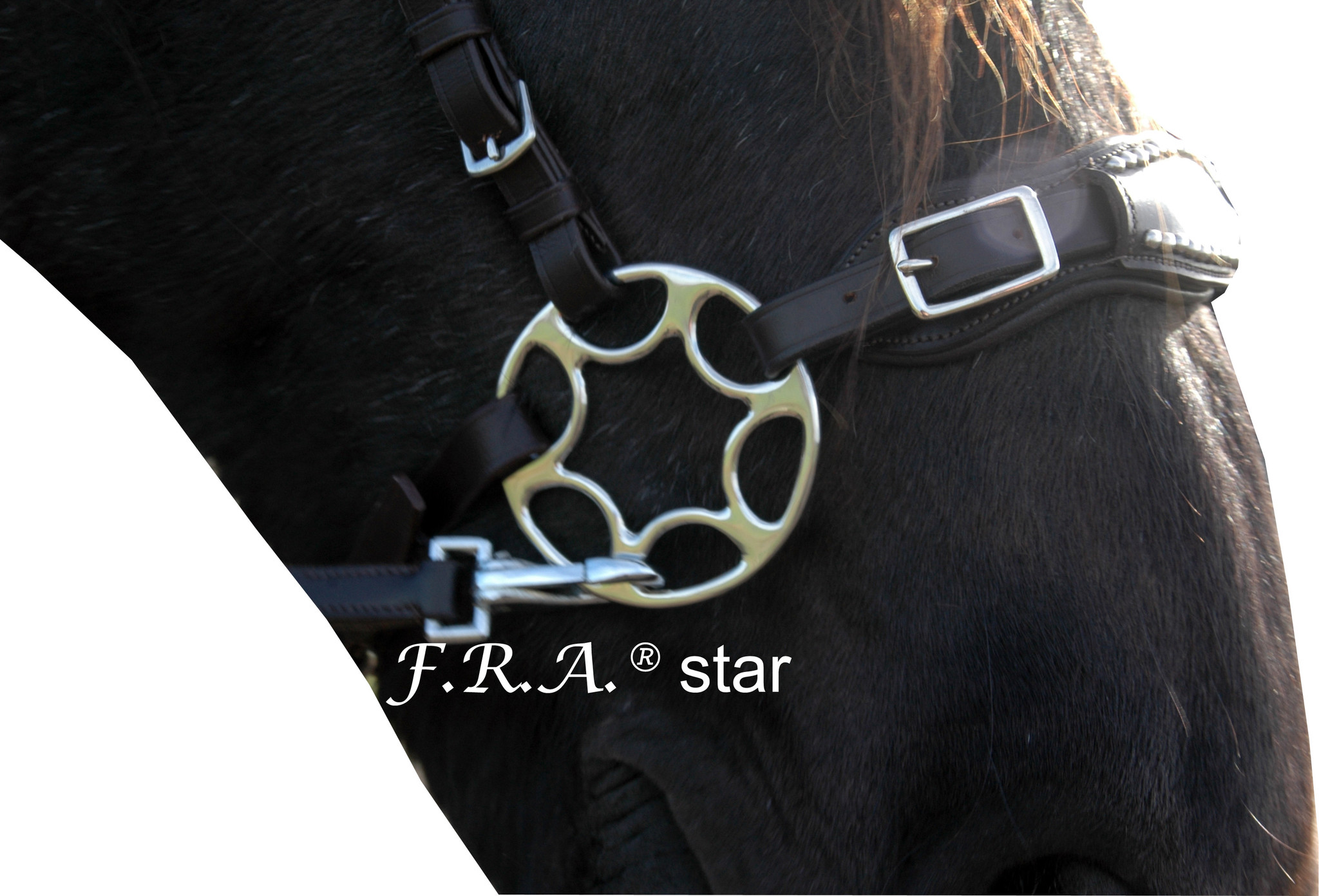 Star hackamore zonder scharen