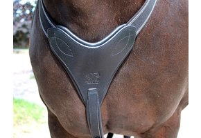 Breast collar Stretch and Breath