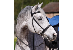 Contour Jewel cross-over bitless bridle