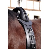 Longiergurt Save my Spine schwarz