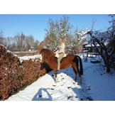 Sheep wool seat for Ride on Pad extra soft