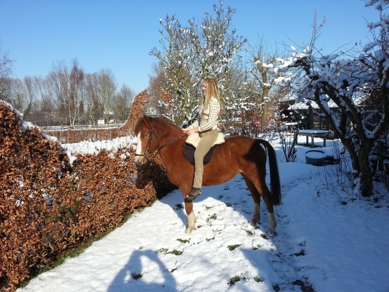 Schaapwolzitting voor Ride on Pad extra zacht