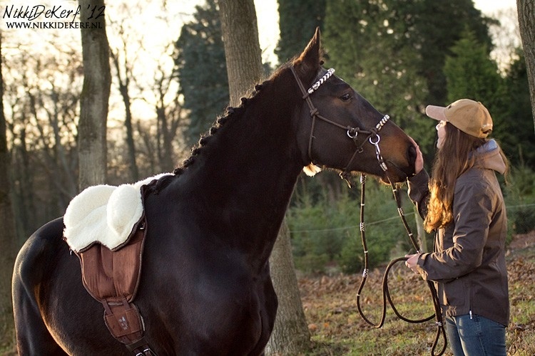 Sheep wool seat for Ride on Pad extra soft