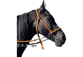 Igor Kinn kreuzt bitloses Zaumzeug