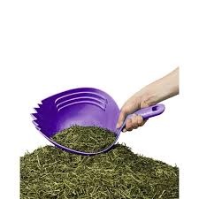 Feed Scoop Shark, content distribution