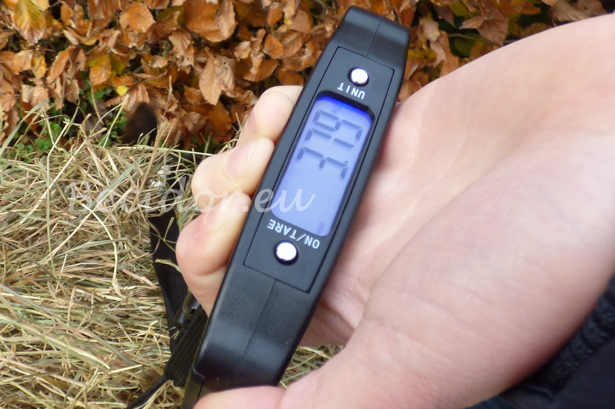 Illuminated hand scale