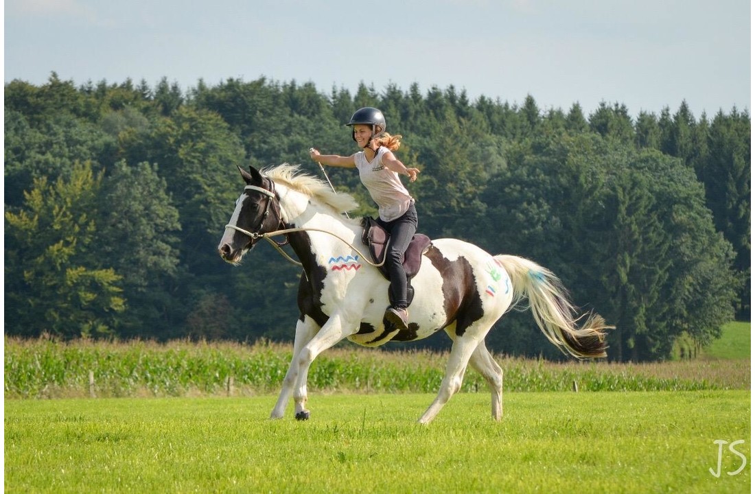 Ride on Pad Physio barebackpad anatomisch