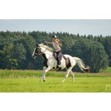 Ride on Pad Physio barebackpad