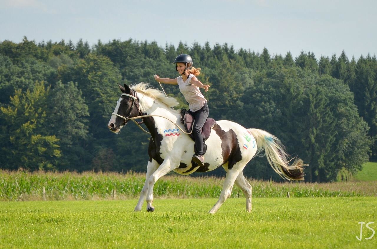 Ride on Pad Physio bareback pad