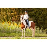 Support Physio Reitpad