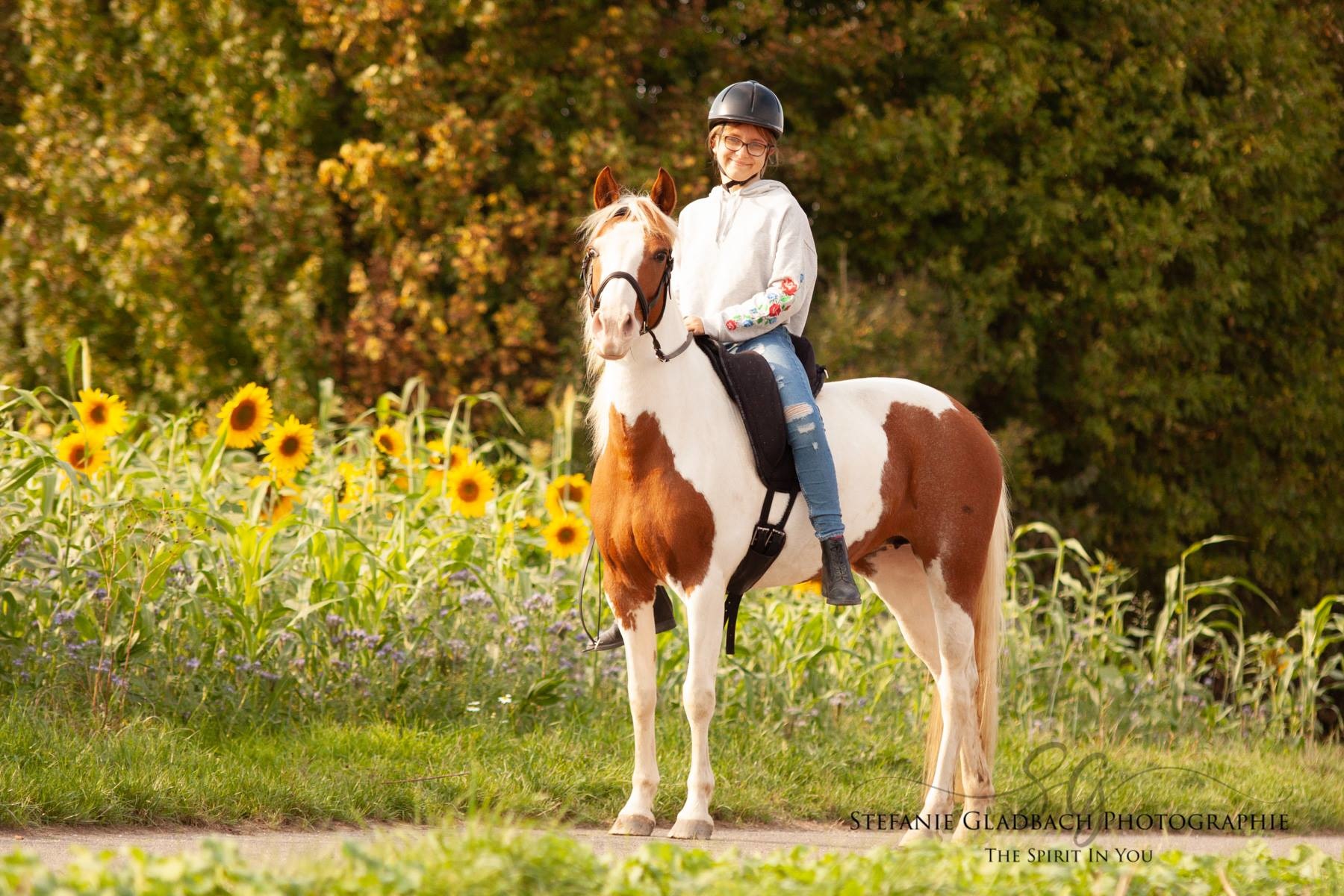 Support Physio Reitpad