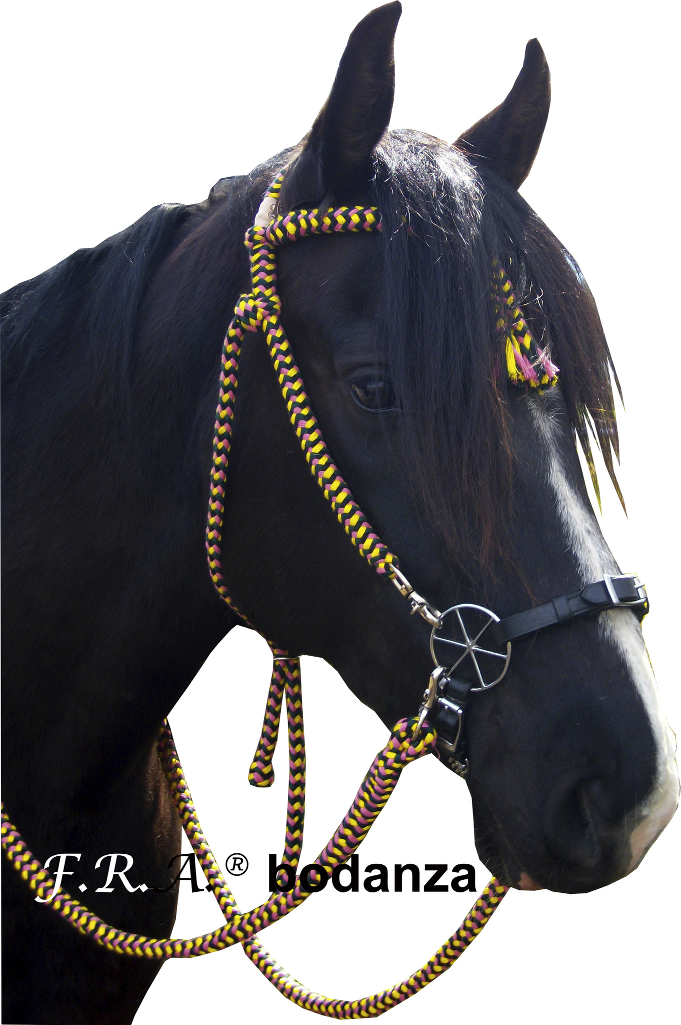Bodanza katoenen rijhoofdstel westernstijl