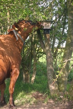 Liksteenhouder voor buiten op paal