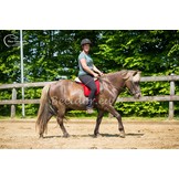 Airmesh barebackpad, goede ondersteuning