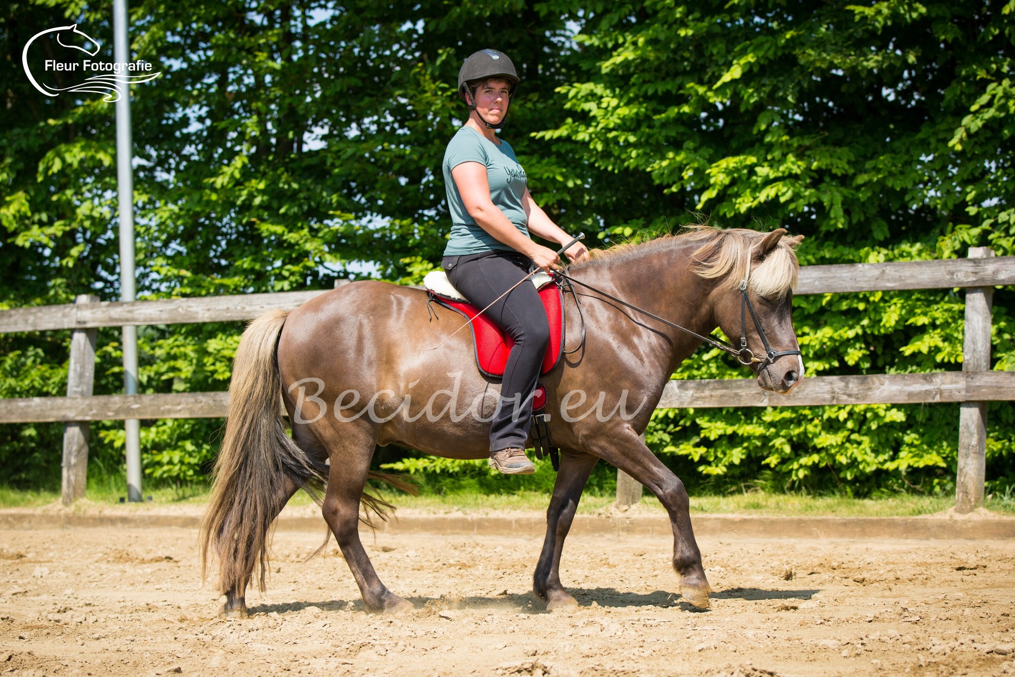 Airmesh bareback pad, good support