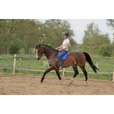 Unterstützung Wildleder Bareback Pad, Anti-Rutsch