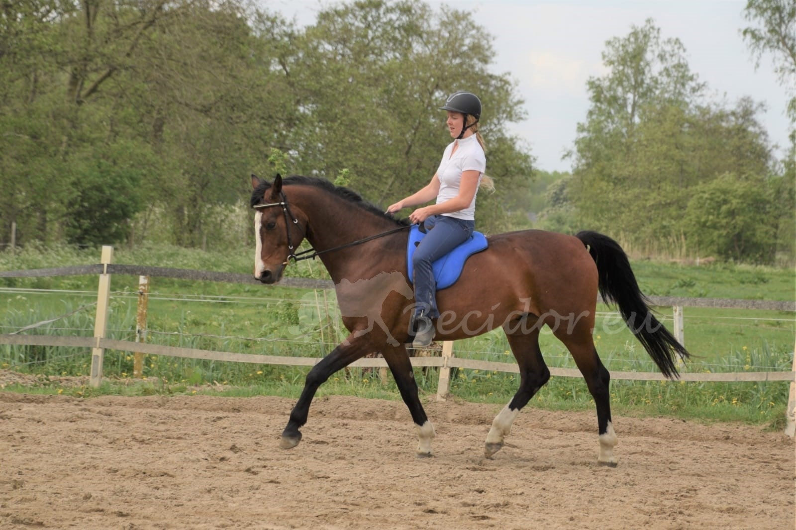 Support suede bareback pad, anti slip