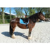 Unterstützung Wildleder Bareback Pad, Anti-Rutsch