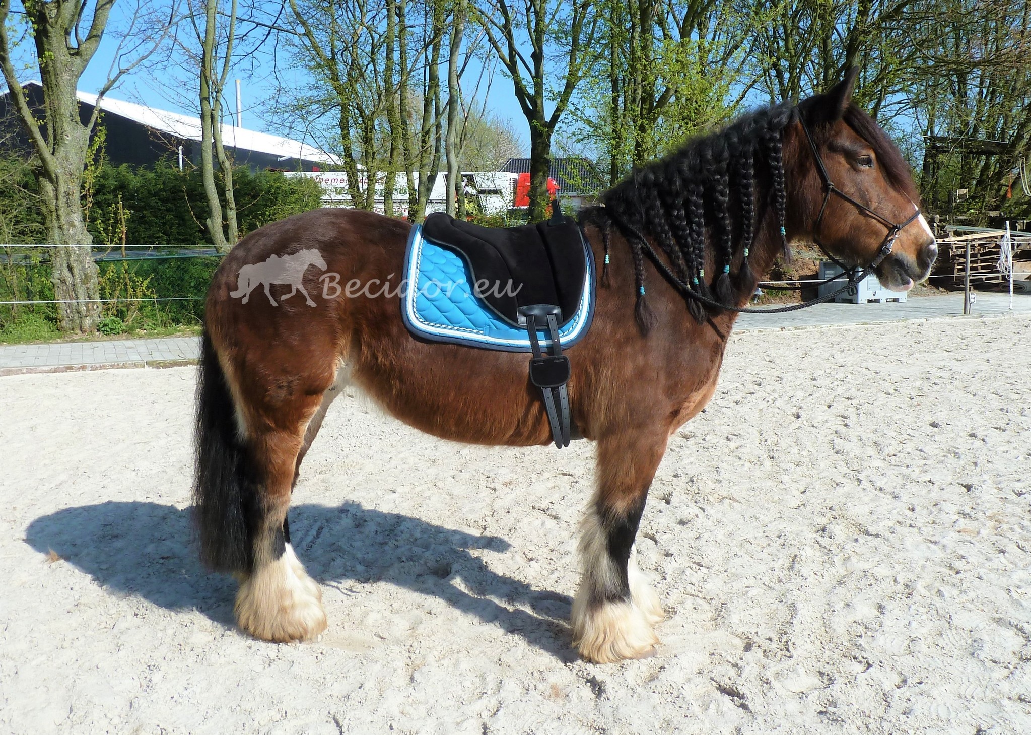 Unterstützung Wildleder Bareback Pad, Anti-Rutsch