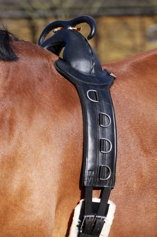 Therapie Ausfallgurt schwarz