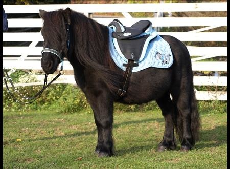 Cheyenne Kids boomlooszadel kunstleder