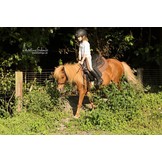 Arizona Kids Barry westernzadel zwart-bruin