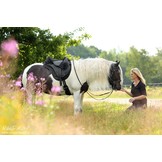 JustAdJust - support boomlooszadel zwart