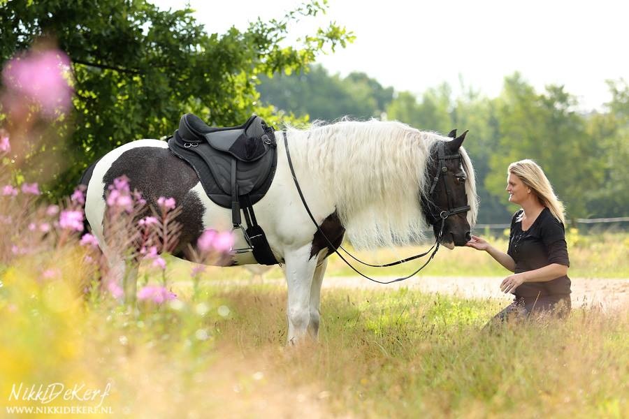 JustAdJust - unterstützt baumlosen Sattel schwarz