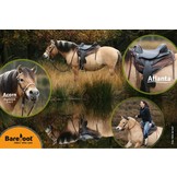 Atlanta - Ausdauersattel Leder