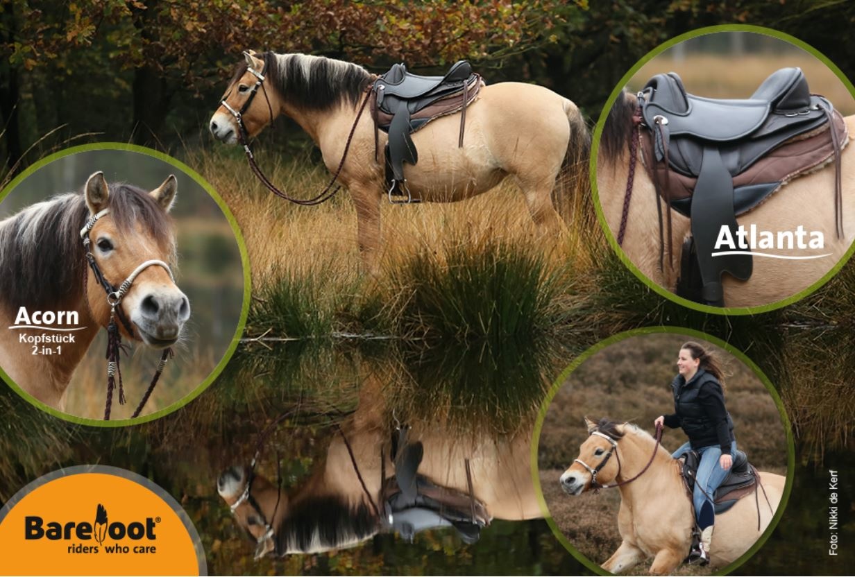 Atlanta - Ausdauersattel Leder