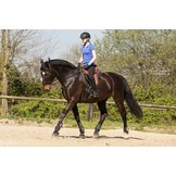 Nottingham - springzadel leer