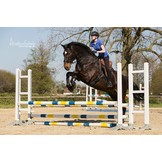 Nottingham - jumping saddle leather