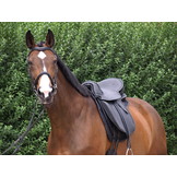 Lexington - Dressursattel Leder