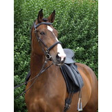 Lexington - Dressursattel Leder