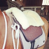 Barebackpad Tomentum Barock fellsattel