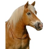 Chiron halsteugel leer