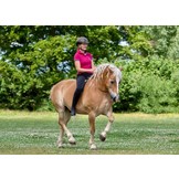 Chiron leather collar