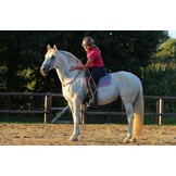 Chiron leather collar