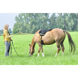 Stick standard available in 8 colors