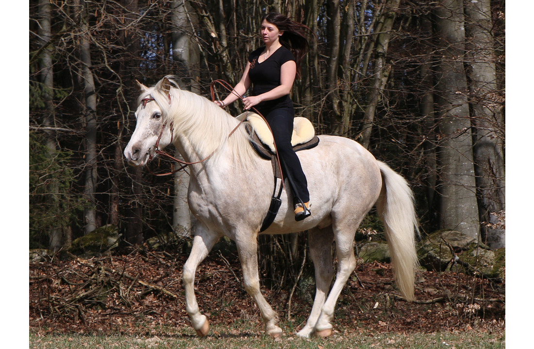Barebackpad Tomentum Endurance fellsattel