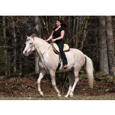 Bareback pad Tomentum Endurance fur saddle