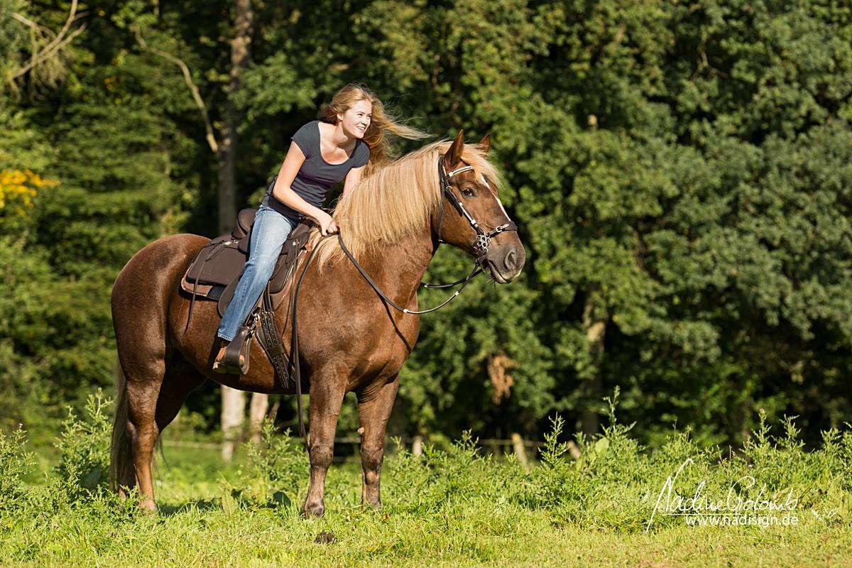 Nevada - trail saddle leather