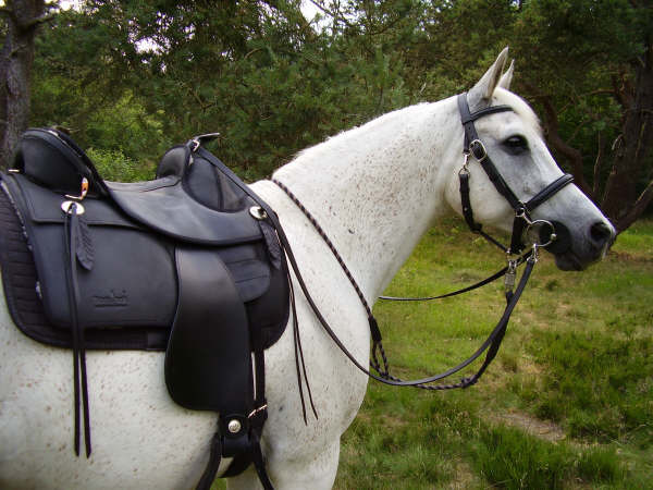 Nevada - trail saddle leather