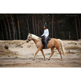 Merlyn - kurzer Dressursattel Leder